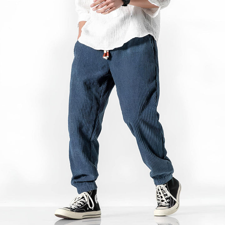 Ramiro | Pantalons en velours modernes