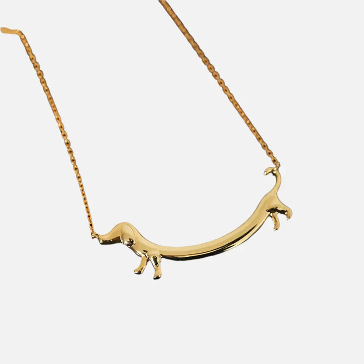 Collier Dachshund Doré